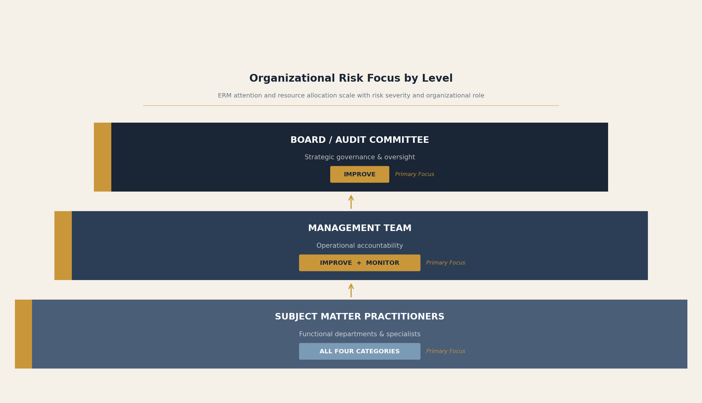 Organizational Risk Focus by Level — Board, Management, Practitioners