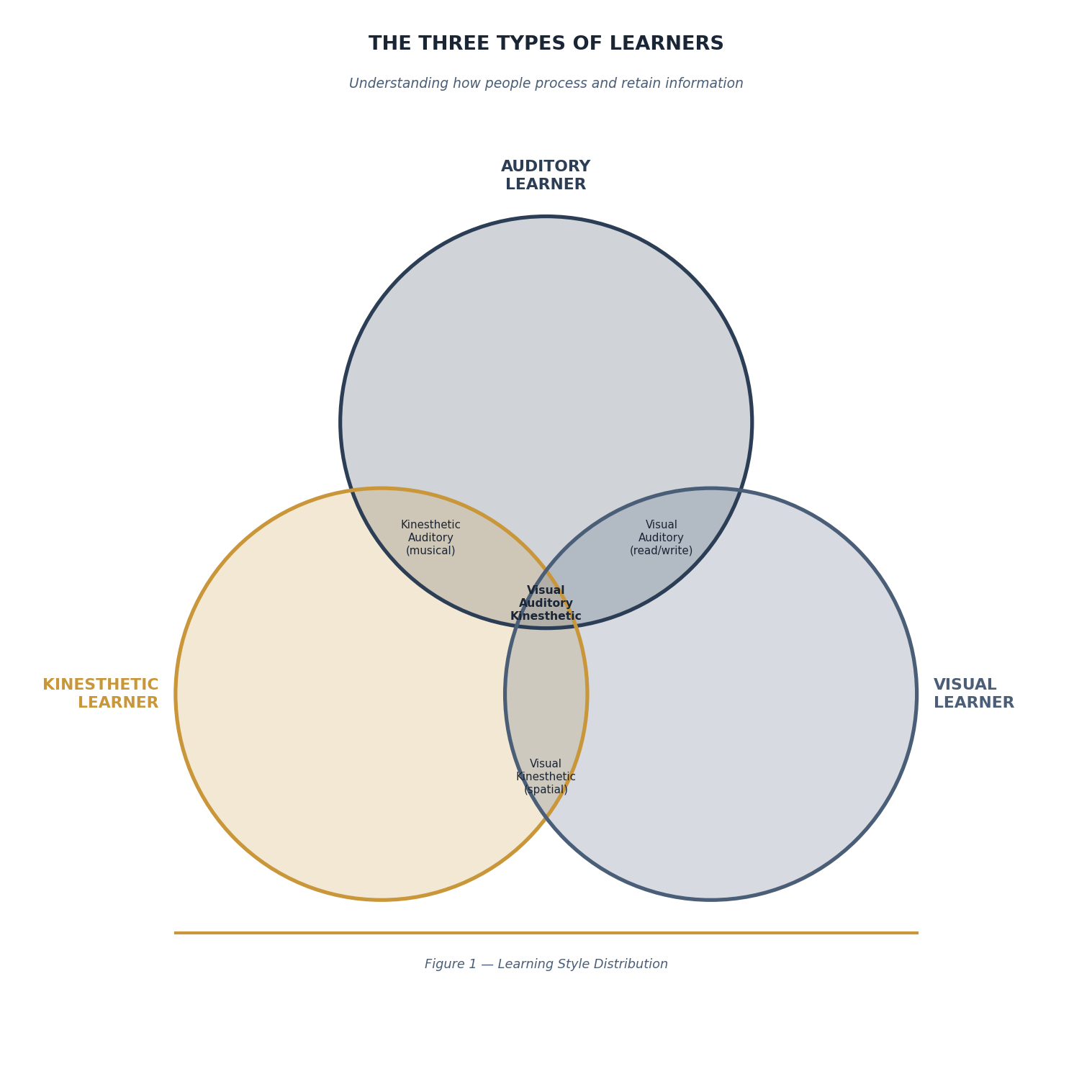 Venn diagram showing the three types of learners — Auditory, Kinesthetic, and Visual — and their seven intersection zones